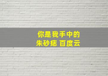 你是我手中的朱砂痣 百度云